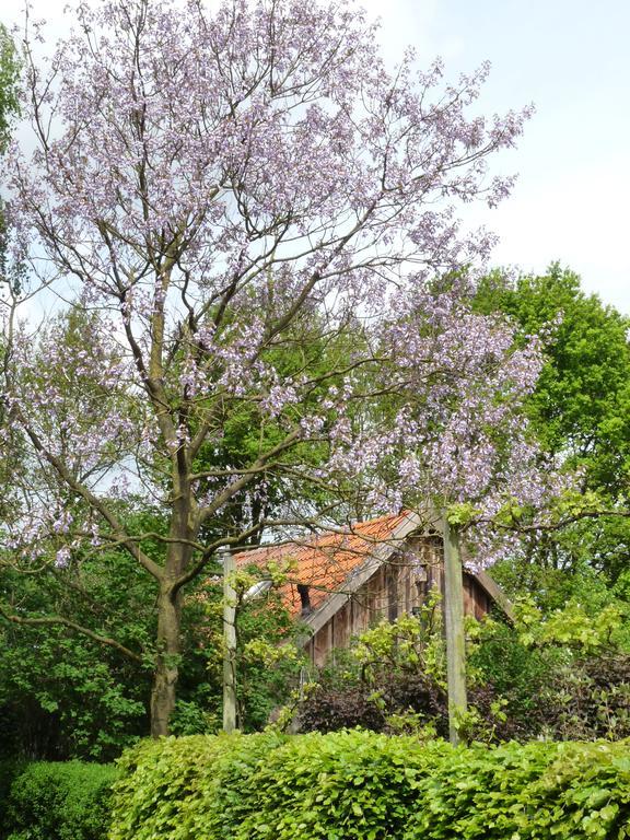 Gasthuys Hongerdyck Villa Bruchterveld Dış mekan fotoğraf